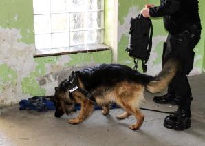 Lubuskie: Kilkugodzinna obława doprowadziła do zatrzymania sprawcy morderstwa w Gozdnicy!