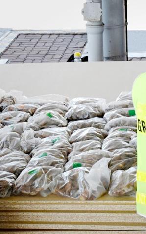 Udaremniona próba przemytu bursztynu. Ładunek jantaru, ukryty pod transportem płyt MDF, przemycał ukraiński kierowca tira.