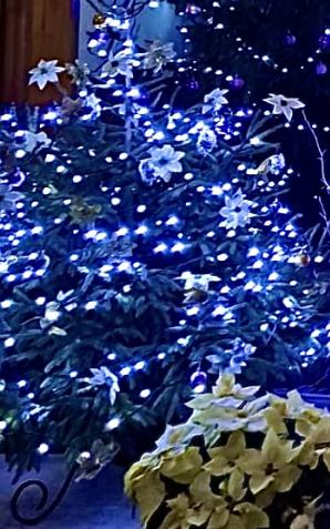 Słowo na 24 grudnia, Wigilię Bożego Narodzenia