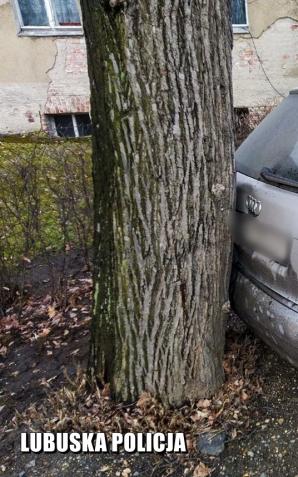 Gubin: Naoglądał się filmów. Ale trafił na profesjonalnych policjantów