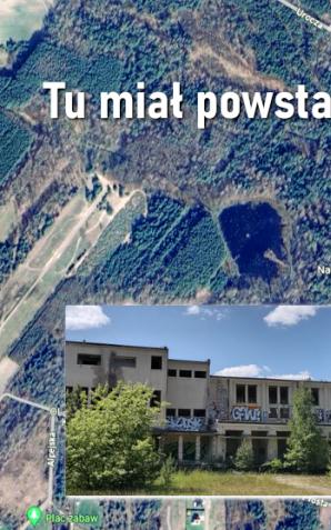 Powołano kierownictwo Centralnego Azylu dla Zwierząt