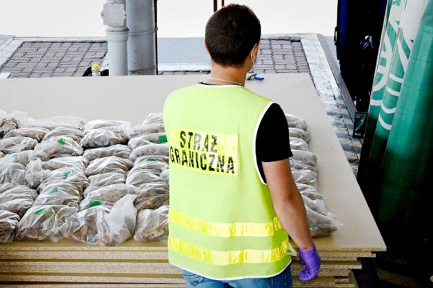 Udaremniona próba przemytu bursztynu. Ładunek jantaru, ukryty pod transportem płyt MDF, przemycał ukraiński kierowca tira.